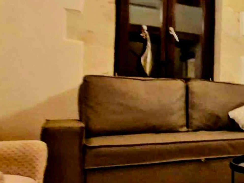 Ferienhaus Traditional 3 Story Townhouse ,batta Hanem